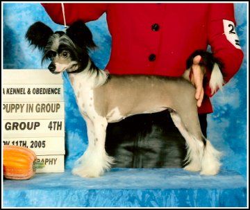 Untold Royal Secrets N'Co