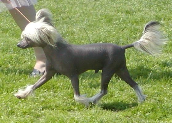 Jeton d'Or de GabriTho