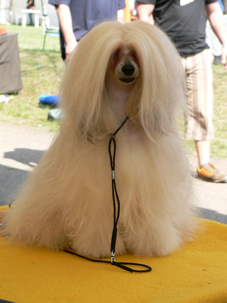 O'Lala v. Schloss Neuschwanstein