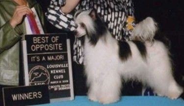 Jewels N Quantara High Society