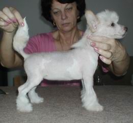 Ly de GabriTho Poarott