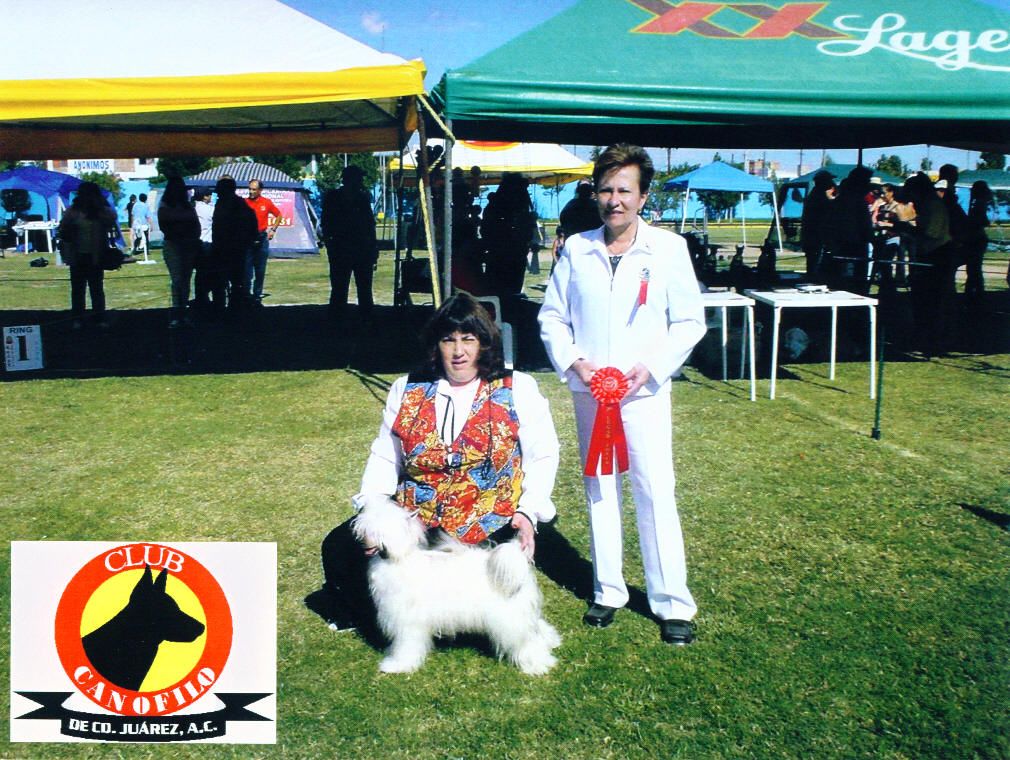 Wanrods OhMy Just Dealme Jaxs