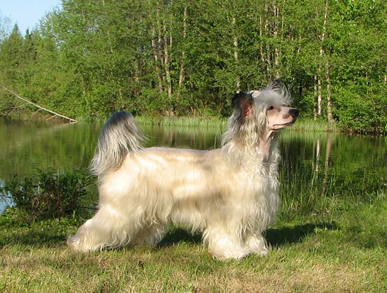 Crestwood On The Rocks