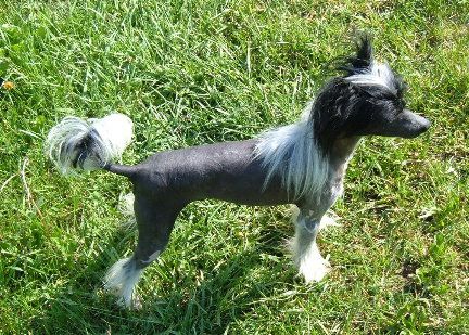 Fyresides Play The Game