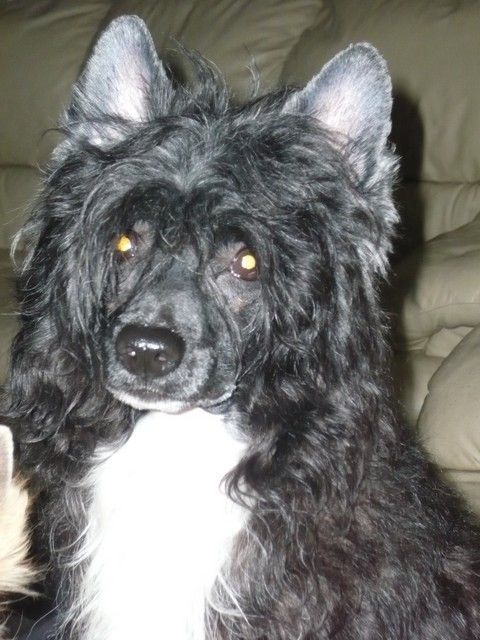 Fantastic For Mady's Love