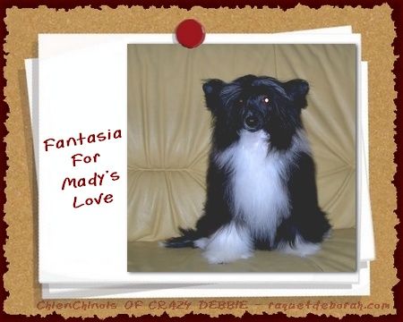 Fantasia For Mady's Love