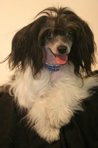 Funny girl For Mady's Love