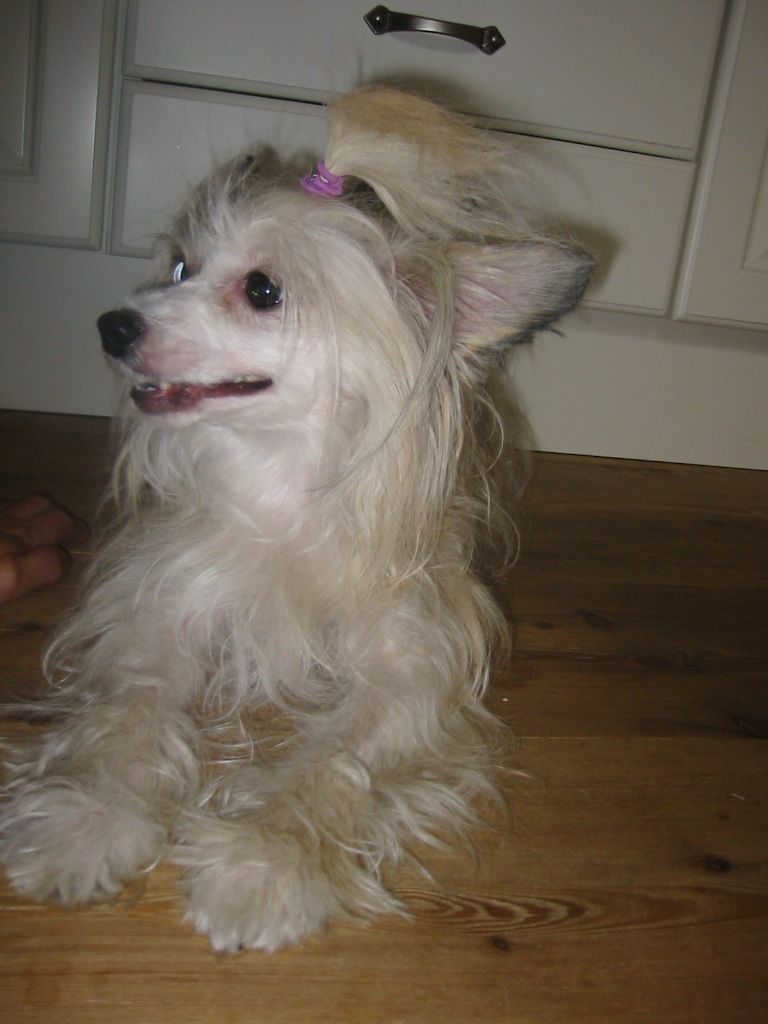 Sarah Aurora El-Cruzado