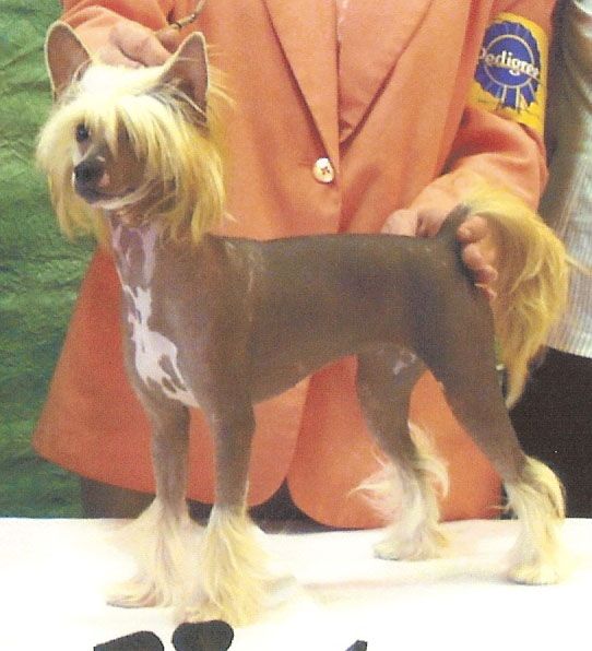 DeeKay's I Can't Stop Raving