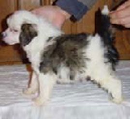 Feng Shui de GabriTho