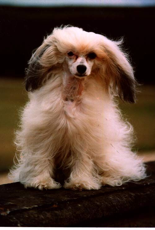 StripPoker's Cover Girl