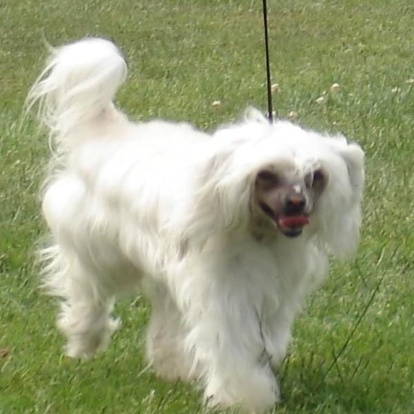 Enter To Mictlan Elvira