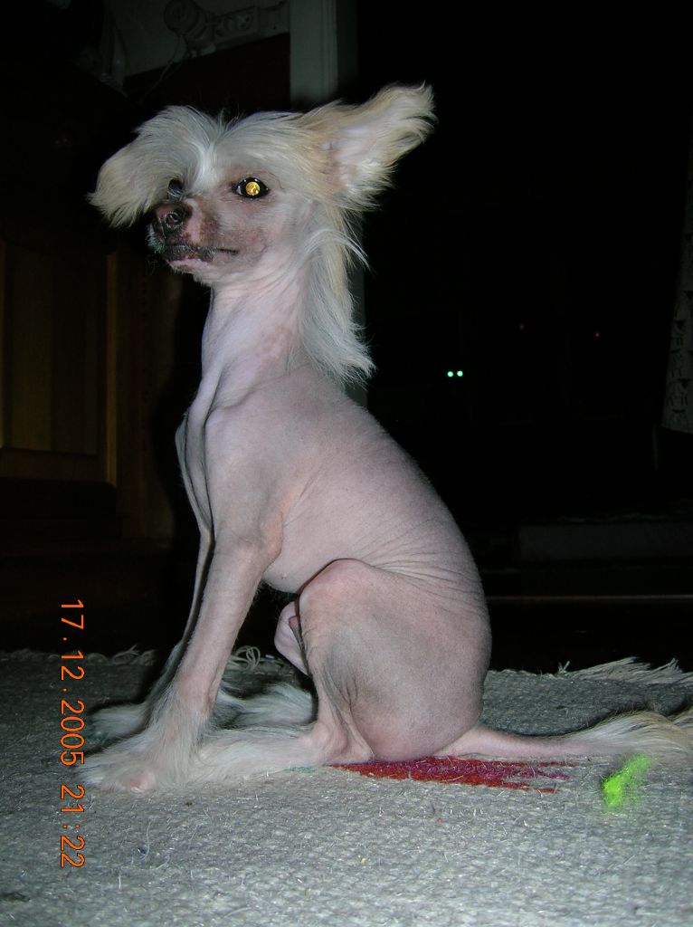 Änglatorpet's Mio-Min-Mio