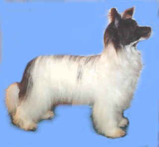 Woodlyn Song Of The South