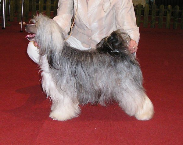 Judith z Jasne hvezdy