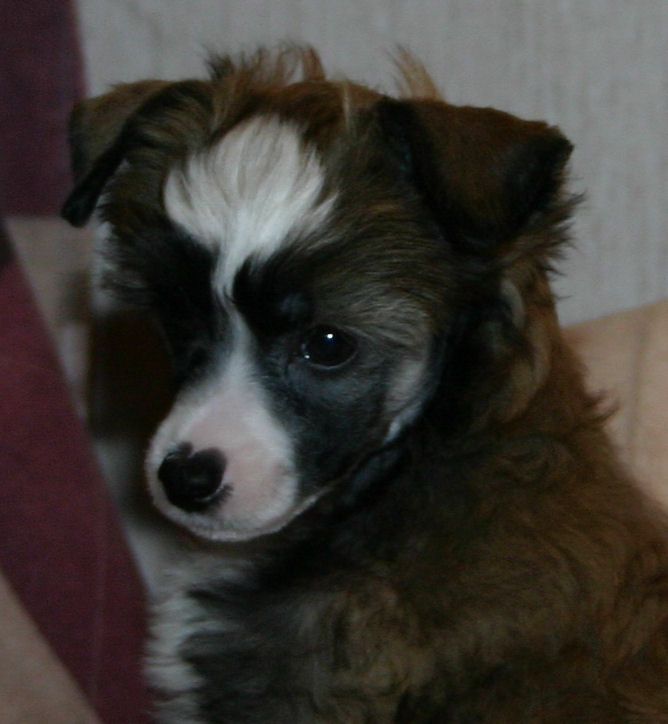 Tulimyrskyn Entas sitten