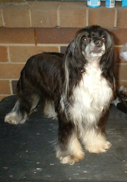 Chinkie Yen Lucill Ball