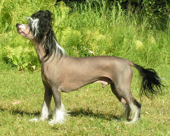 Sun-Hee's Rendez Vouz