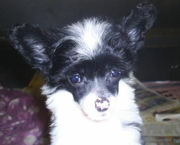 Jia Li's Beautiful Stranger