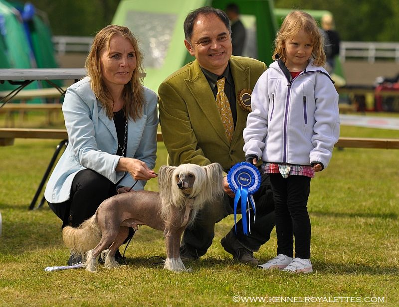 Lucky Line's Ego Trip