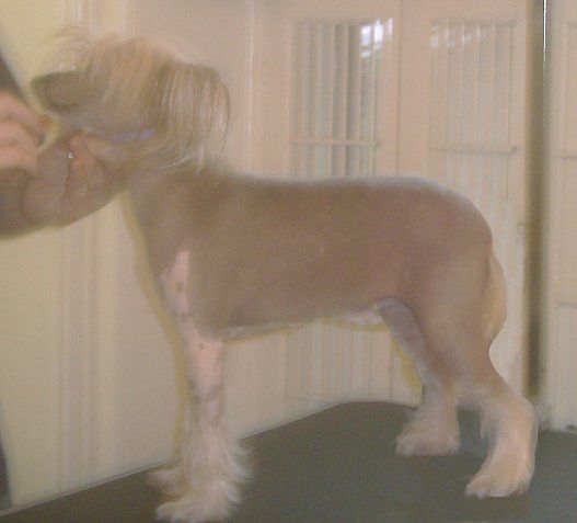 Diamond River Breaking My Heart