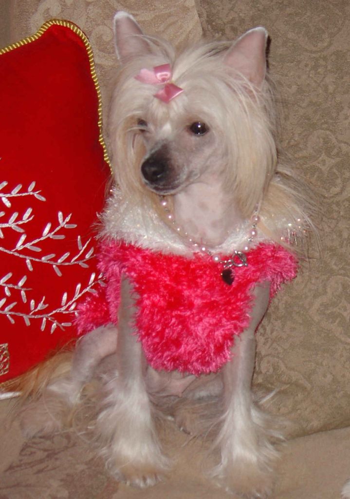 Bayard's Isn't She Charming