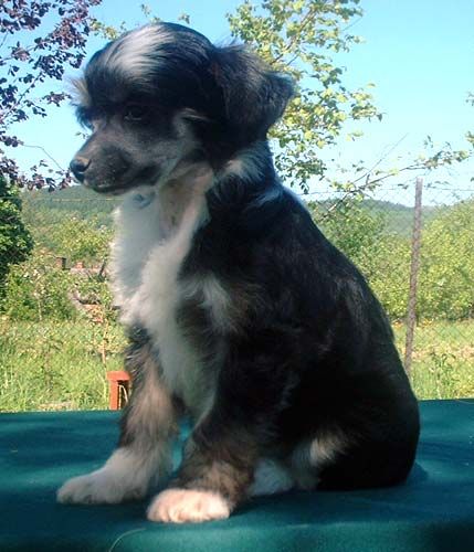 Kylie z Jasne hvezdy