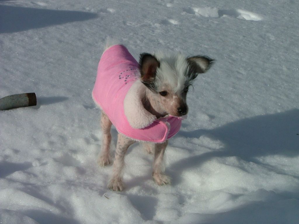 Sandfield's La Di Dah