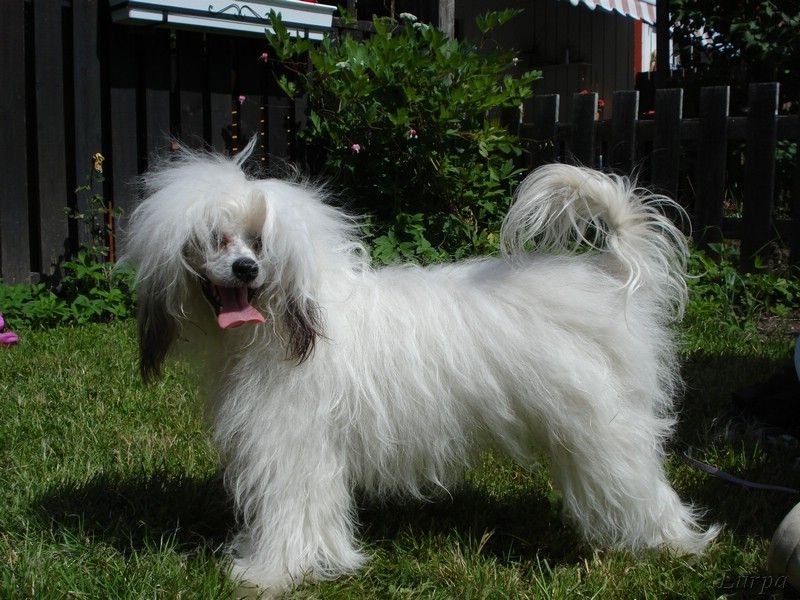 Spirit Of Mantra's Qaylie