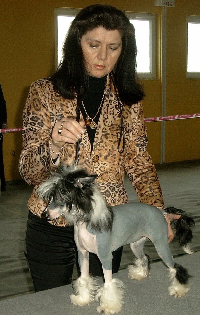 Bijoux Sub-O-Divo