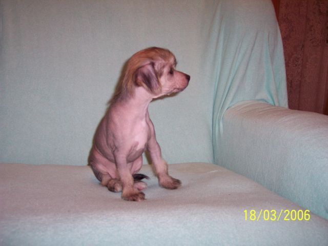 Abin Charlie Jane