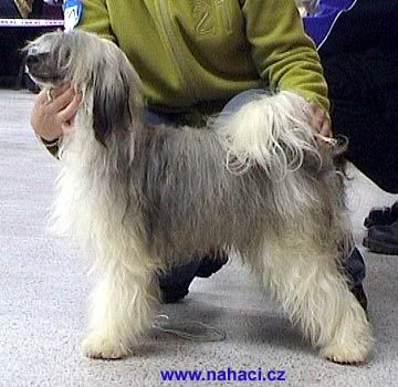 F'Baal Ha-Bajit Mahtob