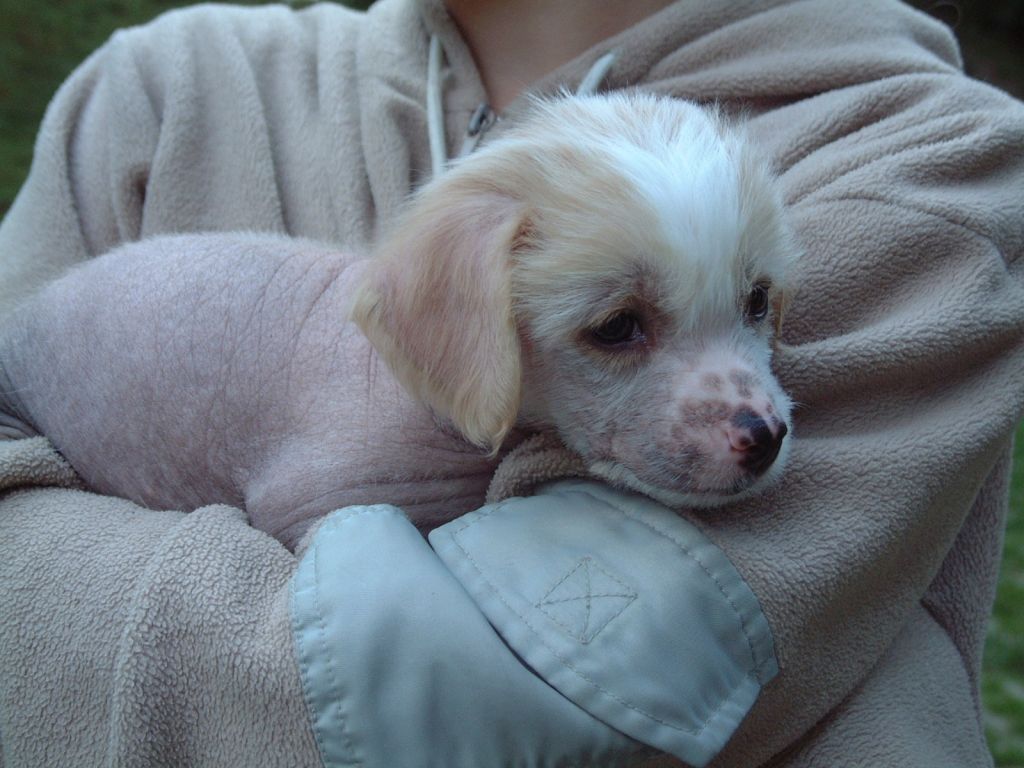 Benji Nord Sun