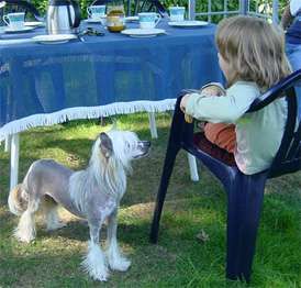 Kukur Baba's Atomic Twister