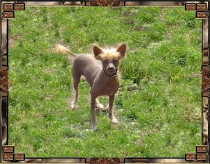 Outlaw Calamity Jane