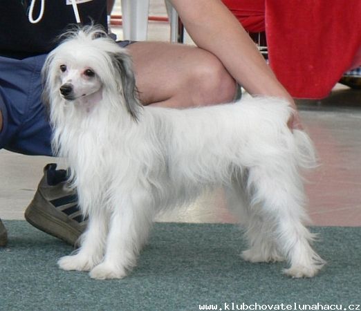 Barbie Happy z Valasskeho raje