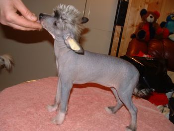 Qu-Ya-Va's X-It Of Mr-X