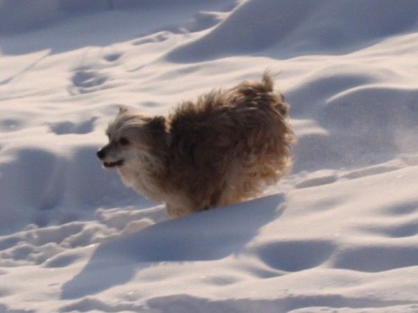 I'm So Pretty Pastoral