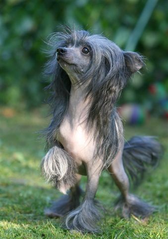 Cherish My Love Fantasy Island