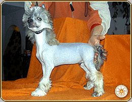 Ecco Enduro Sub-O-Divo