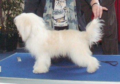 New Wave Cool Water de GabriTho