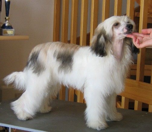 Kuutarhan Pakkasukko