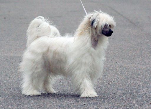 Chattanooga's Be Bop A Lula