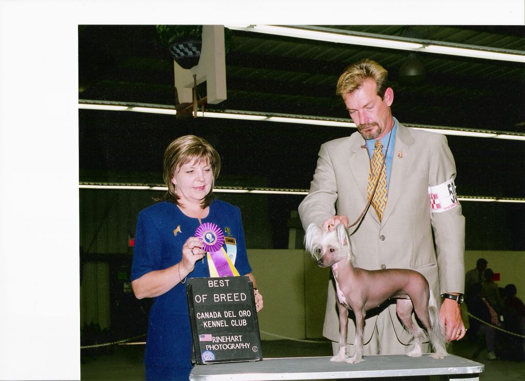 Bimini Feather Nina's Kussandra