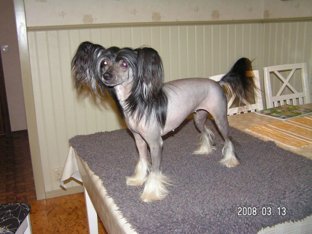 Fullibus Hot'n Sweet