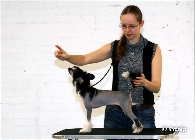 Sun Dan Black Beauty