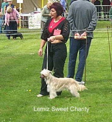 Lemiz Sweet Charity of Ajatiaza