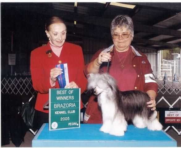 Cavallino's Mischief Maker