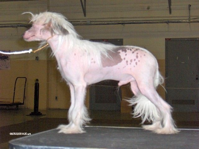 Sakkarra Get Off My Cloud!!