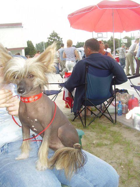 Sasquehanna Zloty Wiek